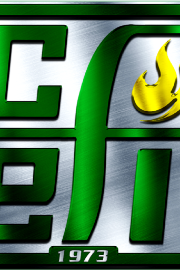 cropped-cefi-logo-2.png cropped-cefi-logo-2.png